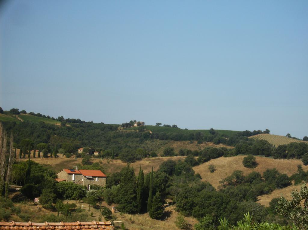 Maremma Verde Montorgiali Quarto foto