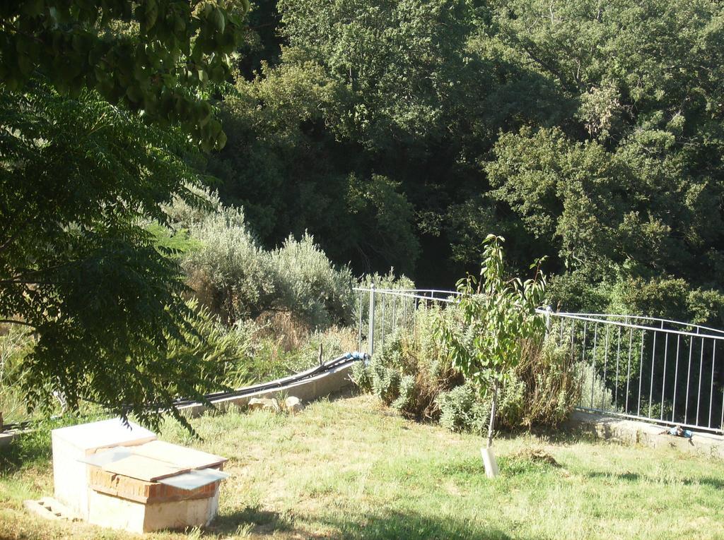 Maremma Verde Montorgiali Quarto foto